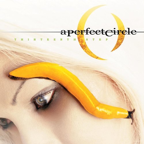 A Perfect Circle - Thirteenth Step.jpg