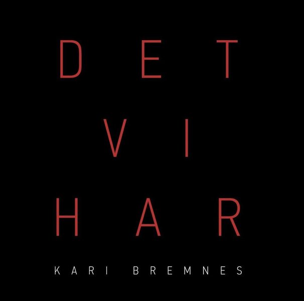 Kari Bremnes - Det Vi Har (2017).jpg