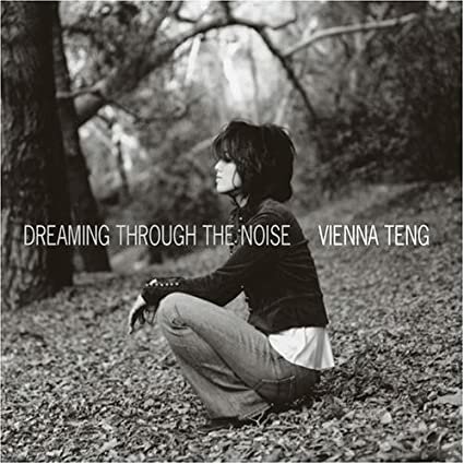 Vienna Teng - Dreaming Through The Noise (2006).jpg