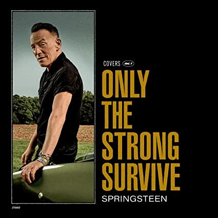 Bruce Springsteen on - Only the strong survive.jpg