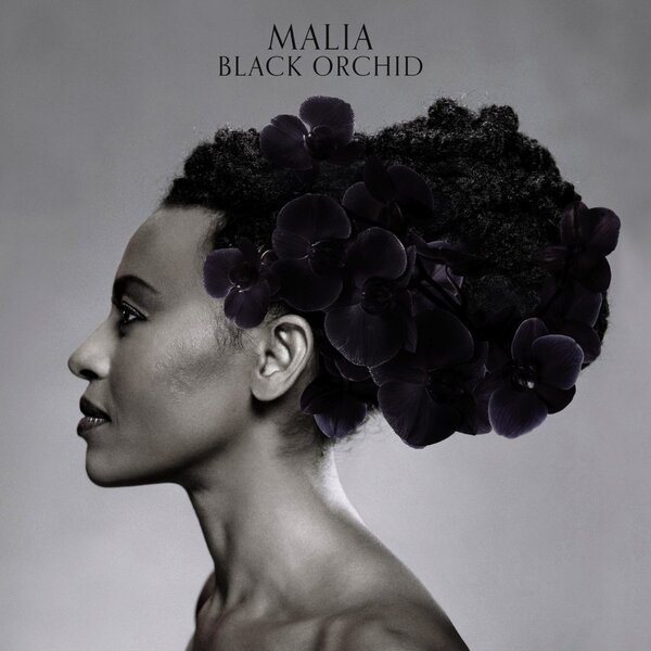 Malia - Black orchid (2012).jpg