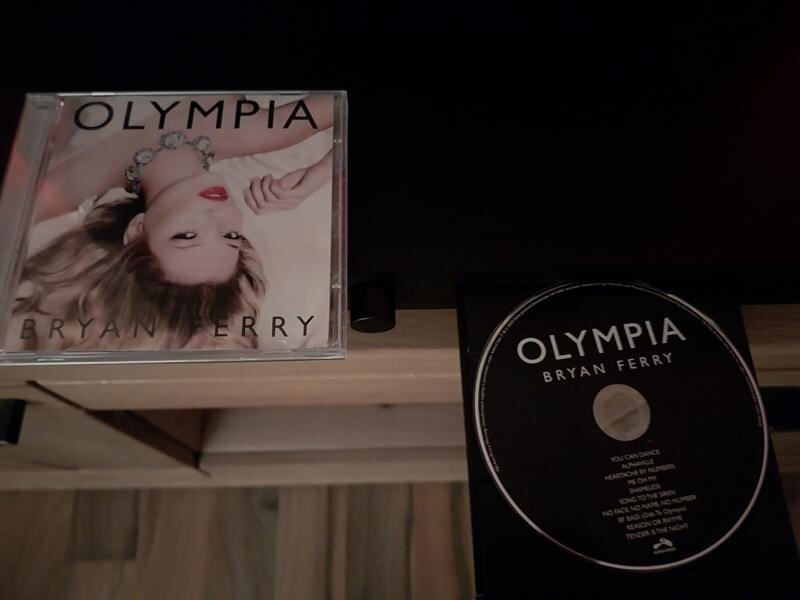 Bryan Ferry - Olympia (2010).JPG