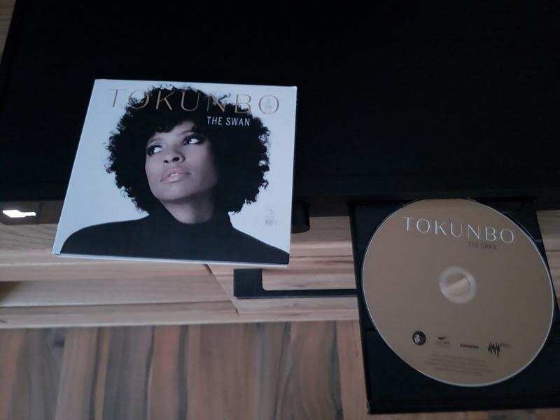 Tokunbo - The Swan (2018).JPG